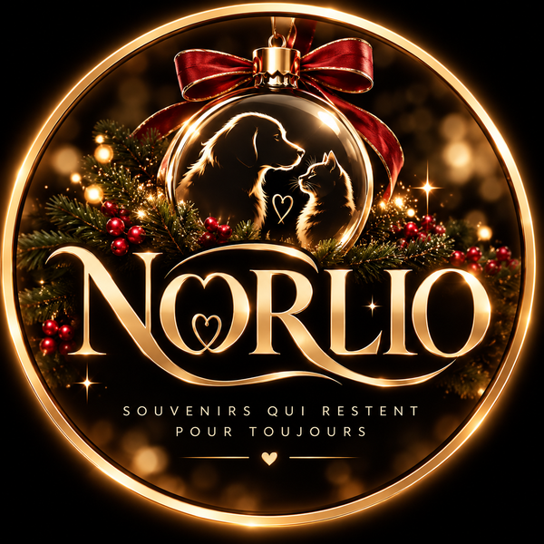 Norlio