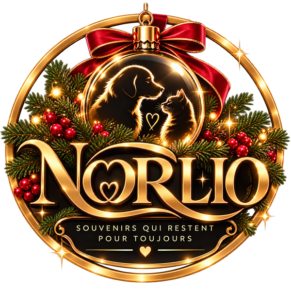 Norlio