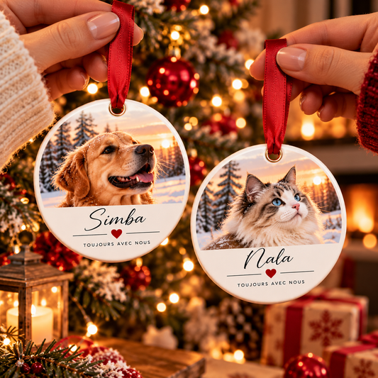 Deux boules de Noël rondes tenues par leur ruban, avec les photos d'un chien prénommé Simba et d'un chat prénommé Nala
